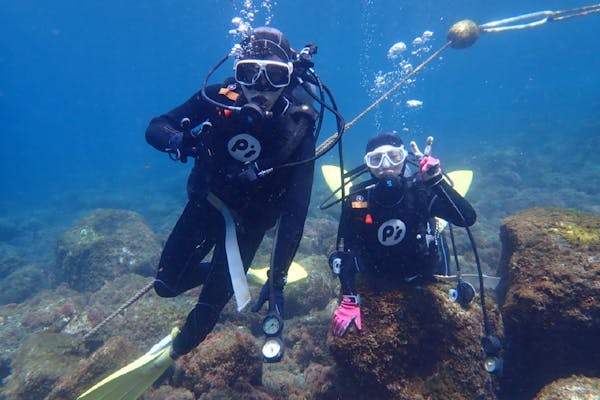 八丈島・ライセンス取得】2日間の実習で、オープンウォーター取得！トランスファーコース｜アソビュー！