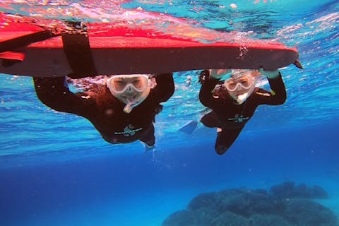 【石垣島・半日・スノーケリング】キラキラな海とカラフルな熱帯魚の世界へ！サクッと遊べる半日ツアー！