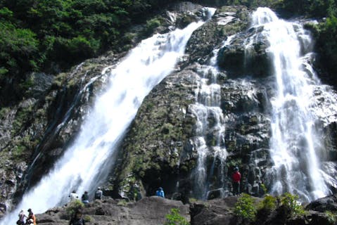 【屋久島・エコツアー】移動は車でラクラク！屋久島をとことん満喫する島内観光ツアー