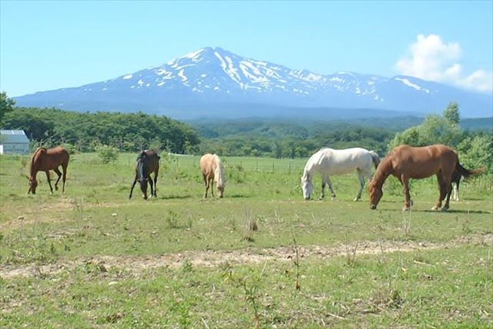 ゆり高原ホースパーク