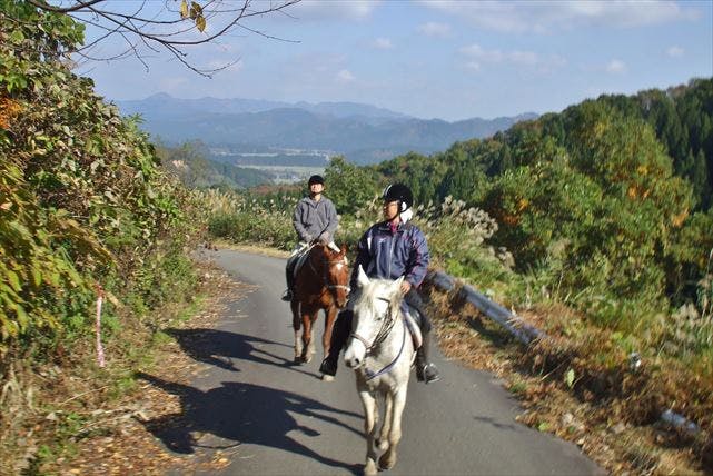 【秋田・体験乗馬】乗馬デビューに最適！鳥海山のふもとで楽しむ体験乗馬