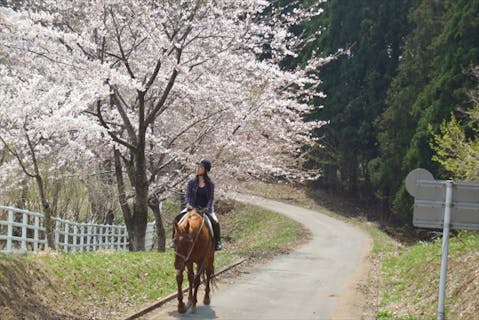 【秋田・ホーストレッキング】馬に乗って、大自然の中へ出かけよう！場外ホーストレッキング
