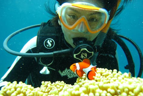 【沖縄・石垣島・半日・ダイビング】感動の水中散歩を楽しめる！半日体験ダイビングプラン