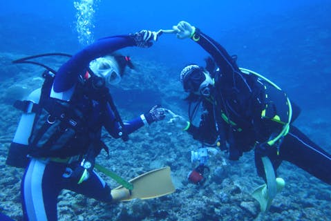 【沖縄・石垣島・1日・ダイビング】海の世界をたっぷり満喫しよう！1日体験ダイビング
