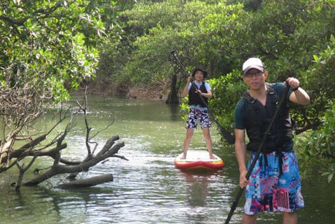 【石垣島・スタンドアップパドル】人気急上昇のマングローブSUP体験ツアー