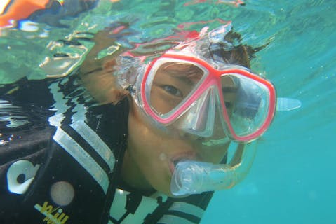 【徳島発・スノーケリング】甲浦の美しい海をのぞいてみよう！ファミリーに人気の感動スノーケリング