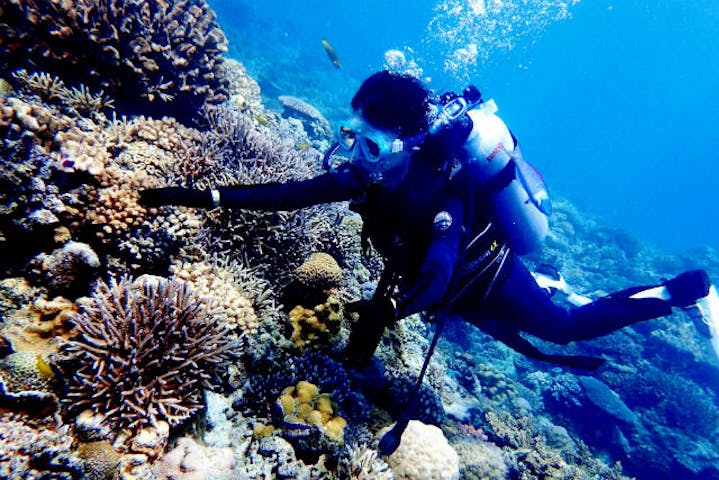 Ocean Gate（オーシャンゲート）