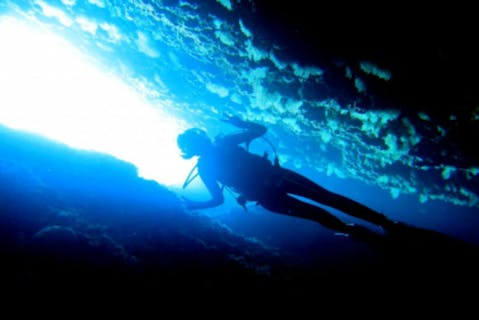 【沖縄・ファンダイビング】水納島・伊江島の海に潜ろう！2ボートファンダイビング