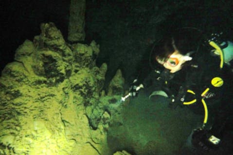 【沖縄・ファンダイビング】アドバンスダイバー向け！辺戸岬ドーム・2ボートファンダイビング