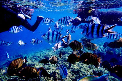 【沖縄県恩納村・ボートシュノーケリング】少人数制！人気スポット青の洞窟に冒険に出かけよう