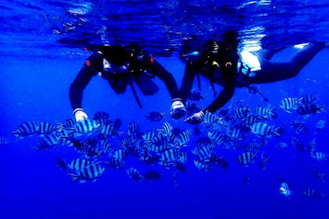 【沖縄県・ボートシュノーケリング】「青の洞窟」の感動をすべての方に！送迎付きプラン