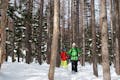 スノーシューは、スキーよりも歩きやすく、深い雪道でもザクザク進んでいけます。