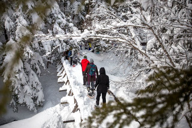 NORTHSTAR outdoor adventures（ノーススターアウトドアアドベンチャー） (松本市・上高地・乗鞍・白骨 スノーシュー・スノートレッキング)の「【長野・半日・スノーシュー】氷が張った池や滝をめぐろう！半日トレッキングツアー」の画像
