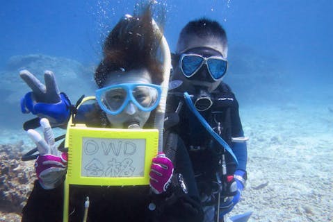 【沖縄県中頭郡・ライセンス取得】ダイバーを目指そう！PADIオープンウォーターダイバー（2日間）