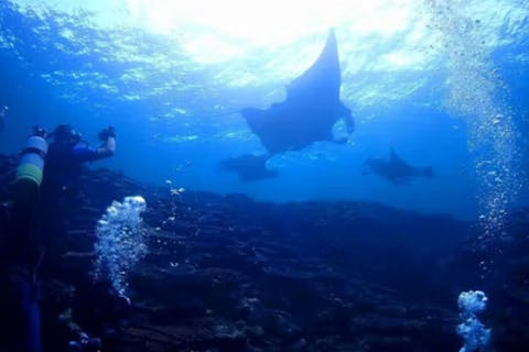 【沖縄県石垣島・ライセンス取得】オープンウォーター＆アドバンスSET・4日で同時取得可能！