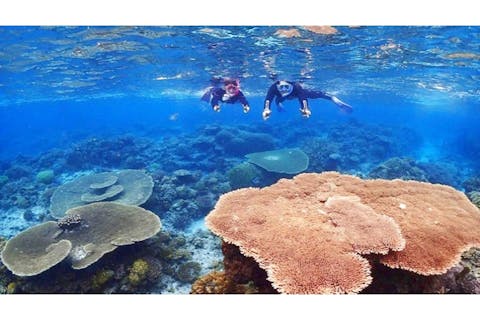 【沖縄・座間味島・シュノーケリング・1日】初心者歓迎！ケラマブルーの海をご案内！大型カタマランヨットで行く1日満喫プラン！ウミガメにも会えます♪