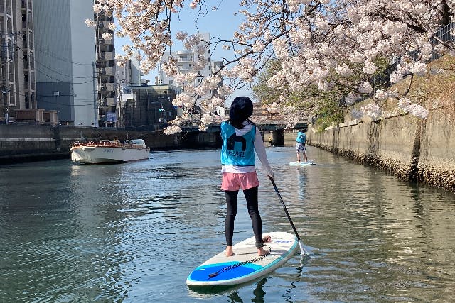 【横浜・SUP】春限定！桜の中を優雅に進む、お花見SUPクルーズ