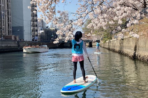 【横浜・SUP】春限定！桜の中を優雅に進む、お花見SUPクルーズ