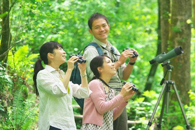 【長野県・ネイチャーツアー】軽井沢野鳥の森で、森の生き物との出会いを楽しもう！