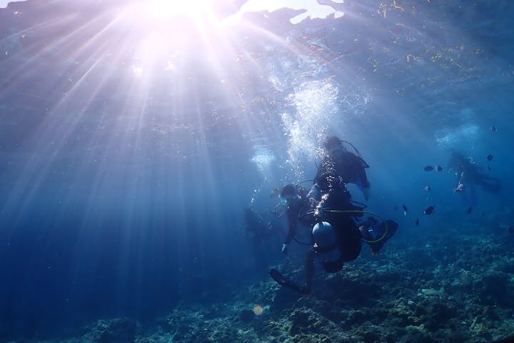 沖縄 青の洞窟 体験ダイビング 神秘の世界 大人気スポット青の洞窟をめぐろう 水中写真 餌付け無料サービス アソビュー