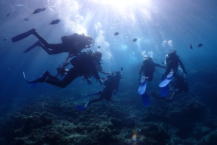 沖縄 青の洞窟 体験ダイビング 神秘の世界 大人気スポット青の洞窟をめぐろう 水中写真 餌付け無料サービス アソビュー