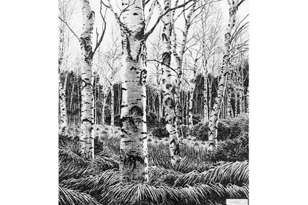 愛知・知多・絵画教室】ペン画教室1日体験・ボールペンで描く細密な絵