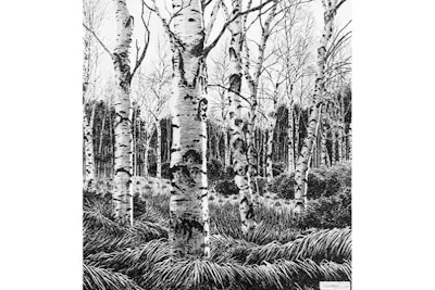 愛知・知多・絵画教室】ペン画教室1日体験・ボールペンで描く細密な絵