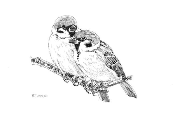 愛知・知多・絵画教室】ペン画教室1日体験・ボールペンで描く細密な絵