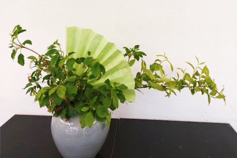 【立川・生け花 ・90分】草月流テキストでの本格的なお稽古、1DAY体験！