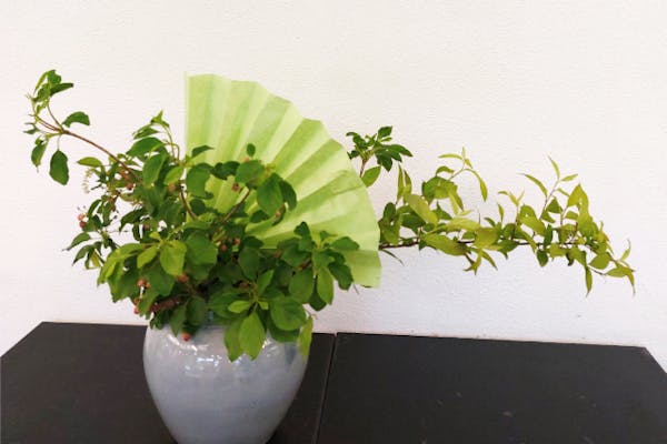 立川・生け花 ・90分】草月流テキストでの本格的なお稽古、1DAY体験