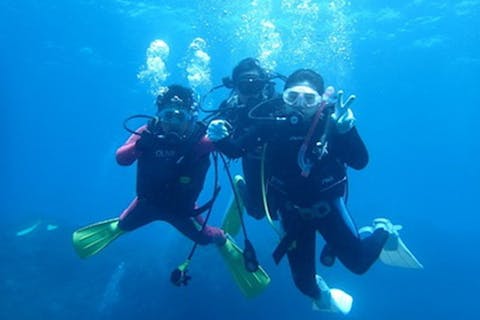 【八丈島・体験ダイビング】ウミガメに会えたらラッキー！ビギナーコースをめぐります