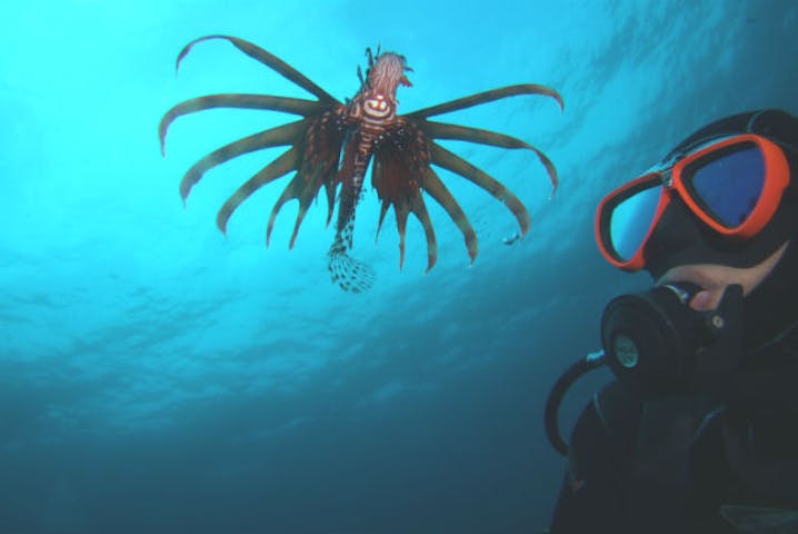 あとぱぱダイビングサービス