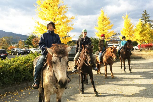 【宮城蔵王・乗馬体験】人懐こい小柄な馬で安心乗馬体験！蔵王の四季をポクポク乗馬で感じよう！