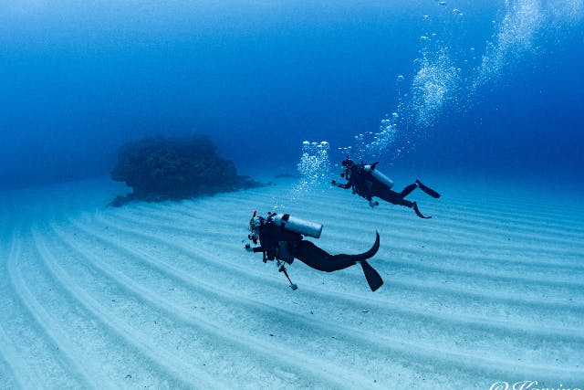 【最短２日】慶良間でボート講習！NAUIオープンウォーター取得｜自社ボート＆写真無料