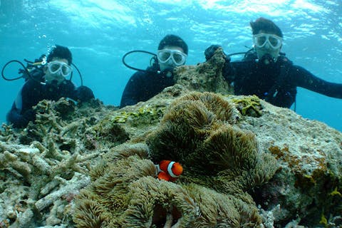 【那覇・ライセンス講習】事前学習＋沖縄２日間　PADIオープンウォーターダイバーコース