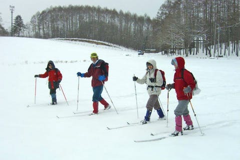 【長野県・半日・クロスカントリー】冬の風物詩、神聖な空気がただよう雪原を歩こう。半日クロスカントリー