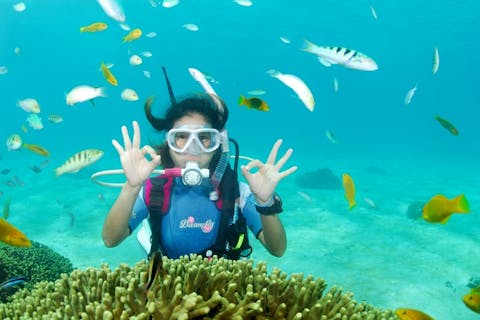 【鹿児島県ヨロン島・ファンダイビング・1ボート】サンゴの海で気軽にダイビング！