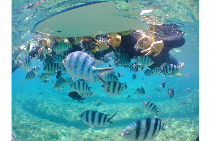 ウエーブマリンクラブ