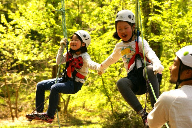 兵庫県にある山陰海岸ジオパークで、木登りを体験してみませんか。