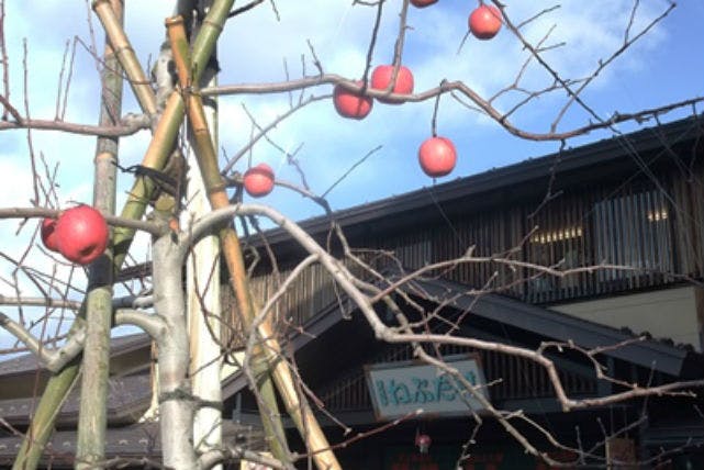 青森 陶芸体験 手びねり 津軽焼の陶器を手作り 初心者大歓迎の陶芸体験 アソビュー