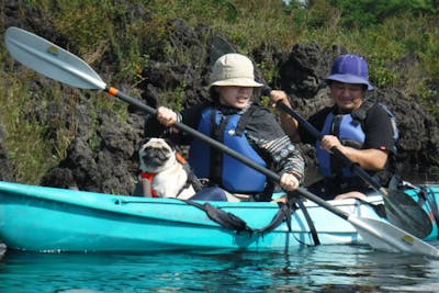 本栖湖 カヤック 2人乗り 初心者にぴったり 静かな湖で富士の絶景を楽しもう アソビュー