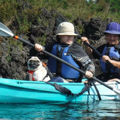 本栖湖 カヤック 2人乗り 初心者にぴったり 静かな湖で富士の絶景を楽しもう アソビュー 本栖湖 カヤック 2人乗り 初心者にぴったり 静かな湖で富士の絶景を楽しもう アソビュー