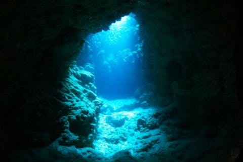 【大阪・南越前・ファンダイビング】南越前日帰りビーチダイビング（2ビーチ）