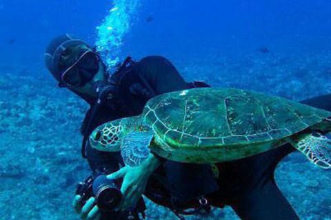 【大阪・串本・ファンダイビング】カラフルな魚たち！日帰り串本ボートダイブツアー（2ボート）