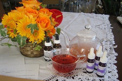 【恵比寿・フラワーセラピー】花を通して自分を知るミニフラワーカウンセリング