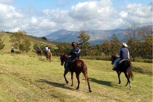 阿蘇うま牧場では、乗馬体験で雄大な阿蘇の風景を満喫できます！