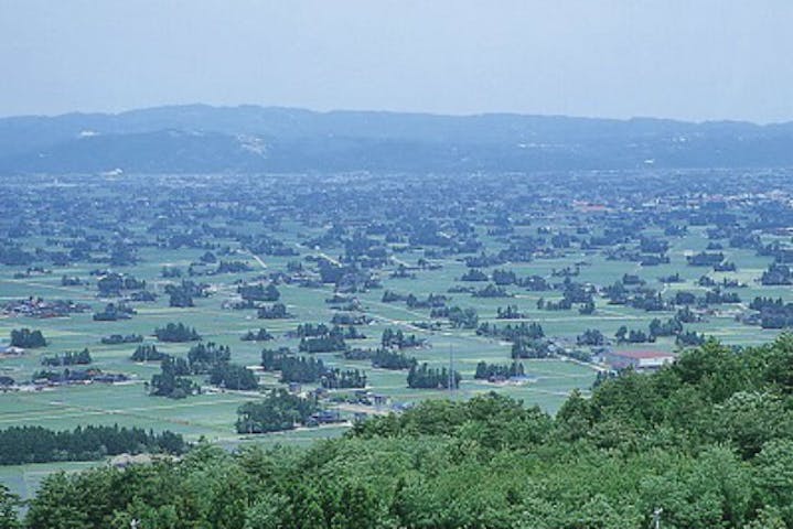 Ken Trips（ケントリップス）