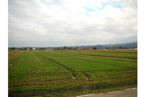 【富山・ガイドツアー】日本の原風景を巡る！となみ野散居村サイクリングツアー