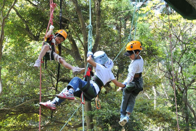 Mother Treeふぉーらむは伊豆半島を中心に木登り体験を開催しています。