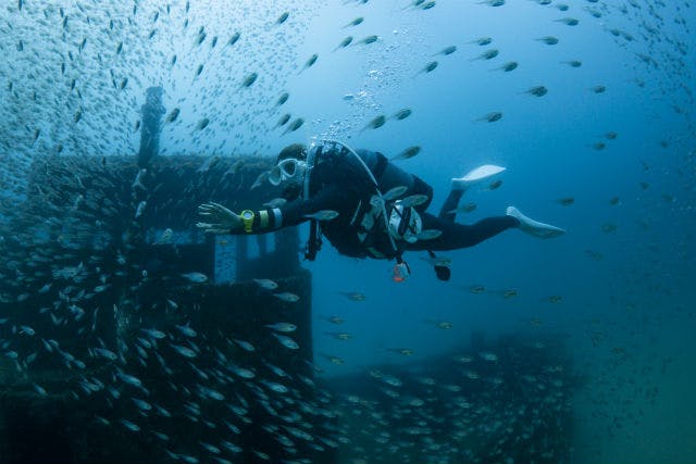 大阪・ライセンス取得】4日間でダイバーデビュー！初級ライセンス取得